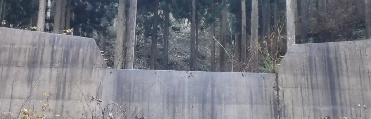 建設コンサルタント業