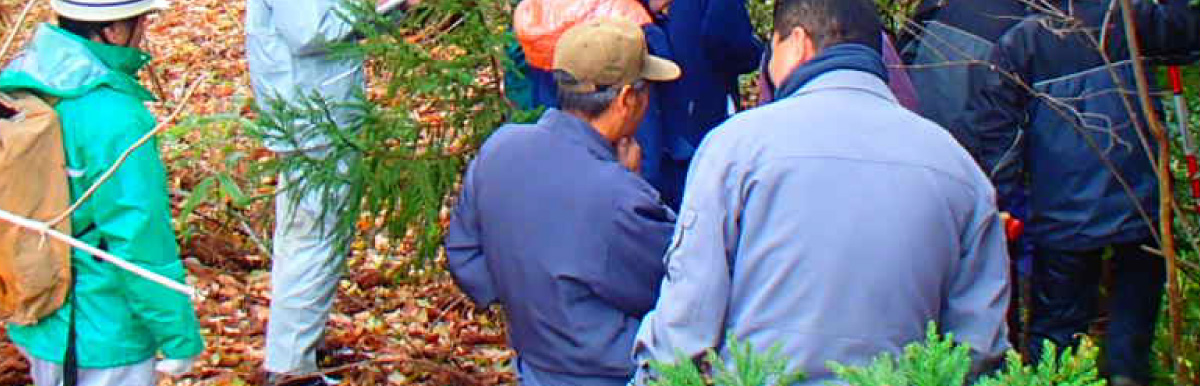 補償コンサルタント業