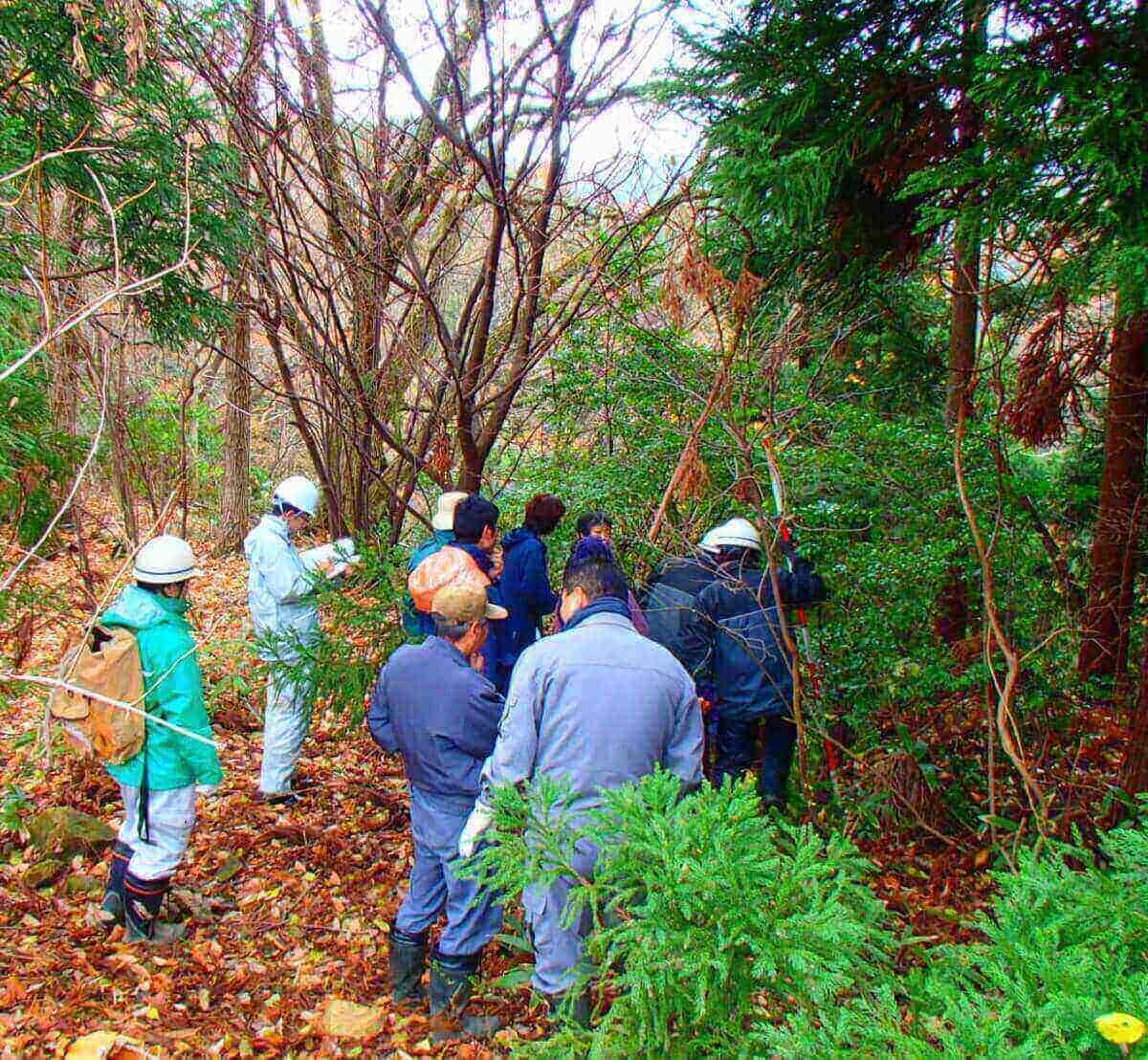 補償コンサルタント事業