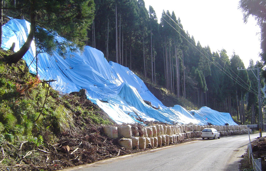 道路法面工設計