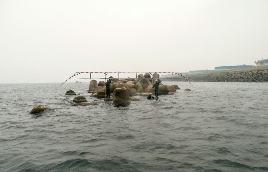 離岸堤被災調査