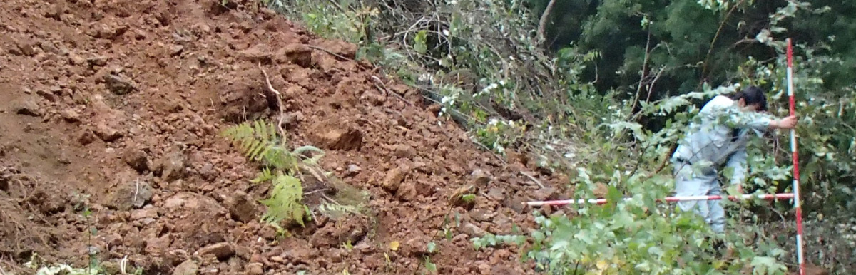 建設コンサルタント